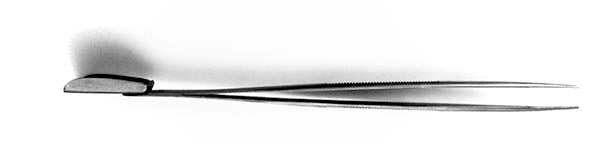 Tweezer with Shovel